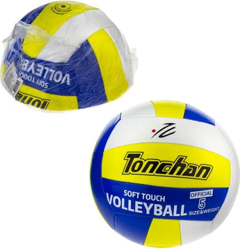 Мяч волейбольный 1toy Т22376