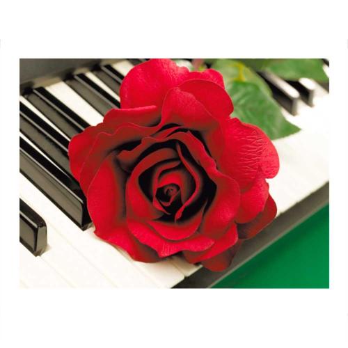 Картина по номерам на холсте Роза на фортепиано 40х50 см Рыжий Кот Х-4743