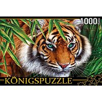 Пазл Портрет тигра 1000 деталей Konigspuzzle Рыжий кот П1000-6630