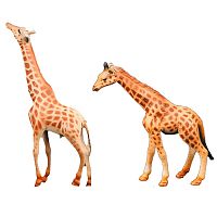 Набор фигурок Мир диких животных Семья жирафов Masai Mara MM211-293