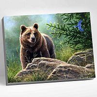 Картина по номерам 40х50 Сибирский бурый медведь Molly HR0110